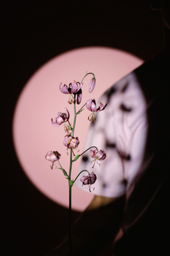 老式亲家请帖怎么写 给亲家请帖怎么填?_问一问