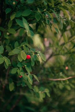 伴娘裙平时怎么穿 请教结婚伴娘应该穿什么?怎么穿?