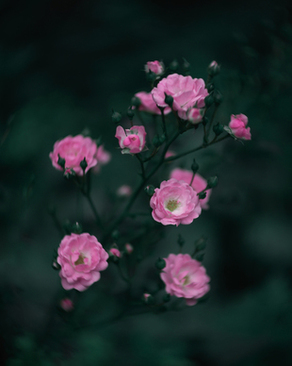 喜宴请柬模板怎么写 请贴结婚喜宴模板怎么写