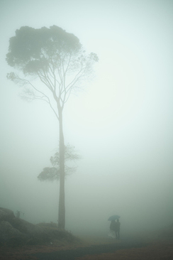 喜事不能穿什么颜色的衣服 婚礼那天忌讳穿什么颜色的衣服？