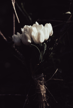 结婚短信通知内容 结婚短信通知怎么写