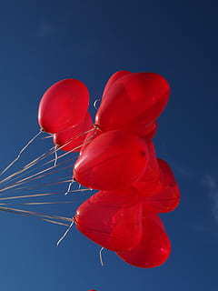 12月份黄道吉日查询 12月黄道吉日查询