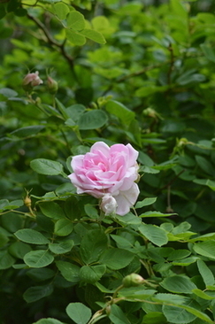 女性朋友结婚送什么礼物好 送女性朋友结婚礼物送什么好