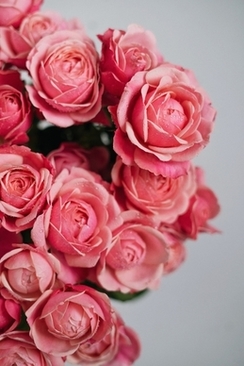 婚礼当天新娘必备 结婚当天新娘必备用品