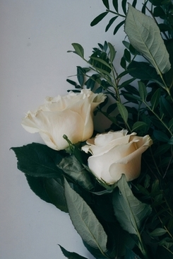 如何评价婚礼办得成功 给婚庆的好的评语