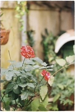 答谢宴新郎新娘坐哪桌 答谢宴双方领导新郎新娘坐在哪一桌