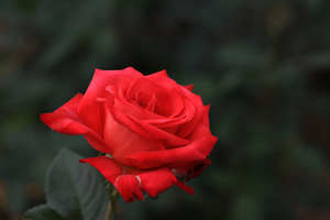 婚检女性分泌物检查什么 婚检时,女性阴道和白带是检查什么东西的阿