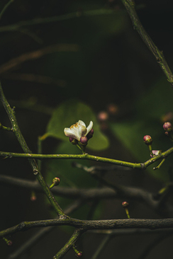 给同事的结婚请柬模板 如何给同事送结婚请柬