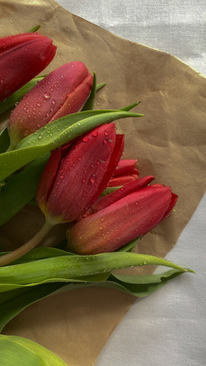 新郎对新娘的创意告白 婚礼上新郎对新娘的真情告白~