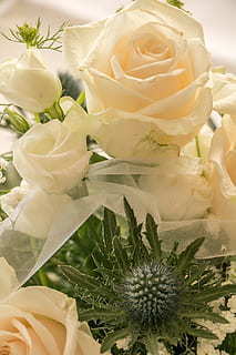 小包包红色还是黑色好 包是红色好看还是黑色好看