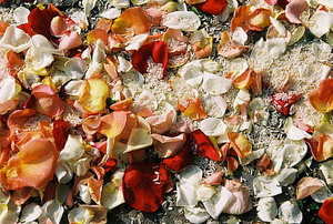 自己结婚邀请函怎么写好 自己结婚邀请函怎么写微信