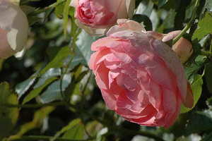 结婚红包必须是新钱吗 结婚红包里面的钱一定要是新钱么