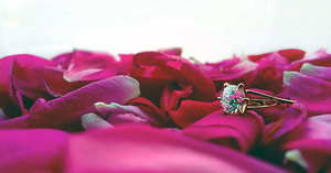 婚礼节目点子 婚礼典礼创意点子有哪些 创意婚礼节目推荐