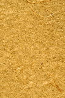 女白底照片穿什么衣服 白底穿什么衣服照好看