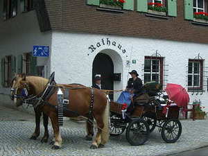 竖版请帖怎么写模板