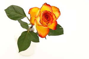 灯光秀编程教学 光束灯编灯光秀步骤