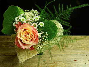 参加婚庆祝福的话怎么说 参加朋友的婚礼如何说贺词？？