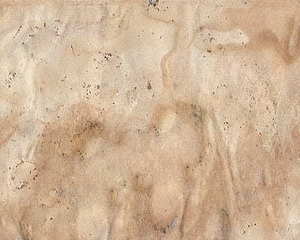 可以自己拍结婚证件照