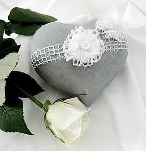 纸杯蛋糕多少钱一个 纸杯蛋糕多少钱一个