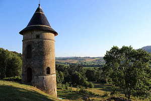 参加婚礼能穿绿色不 参加婚礼不能穿什么颜色？