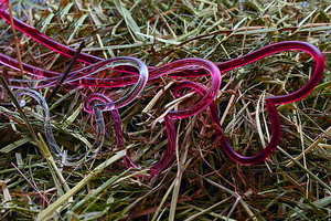 婚礼照相和摄像的费用 婚礼当天拍摄一般都多少钱