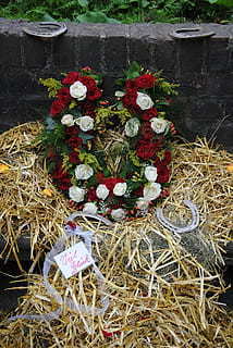 北京2桌小型婚礼