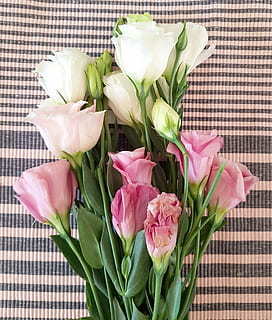 2017年3月5日适合领证吗 2017年3月5日是适合结婚的好日子吗？