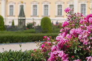 有哪些好听的婚庆公司名字 婚庆公司名称大全