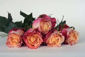 脸大结婚适合什么头饰 脸大的新娘适合什么头饰