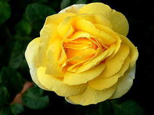 常州婚庆执行招 婚庆公司场布执行工资都有多少?