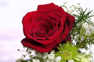 婚礼的类型有哪些 婚礼分类有哪些