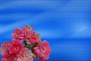 新郎婚礼唱什么歌合适 在婚礼上适合新郎唱的歌有哪些?