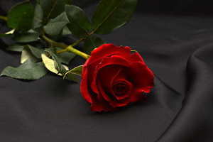 婚庆公司职务人员表 婚庆礼仪公司基本人员配置都应该有什么职位