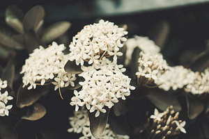 装修如何省钱效果好 怎样装修最省钱