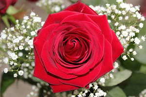 结婚四样礼红包 结婚的四样礼都是什么?